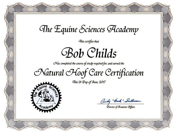 ESA Certificate